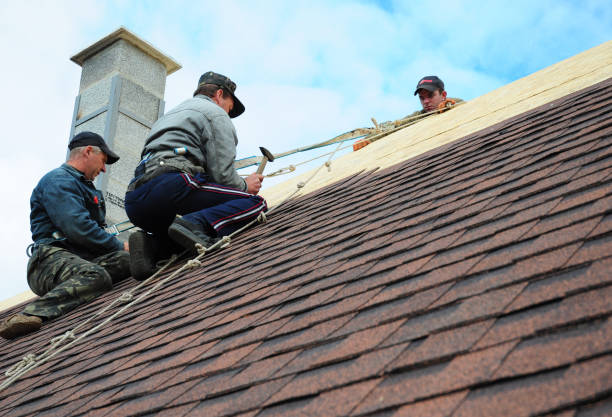 Tile Roofing Contractor in Brighton, CO